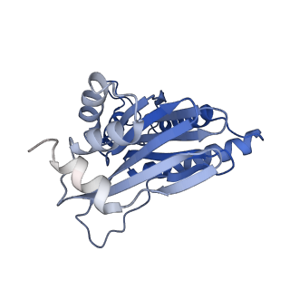 15365_8adn_C_v1-1
Vairimorpha necatrix 20S proteasome from spores