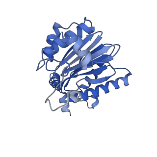 15365_8adn_D_v1-0
Vairimorpha necatrix 20S proteasome from spores