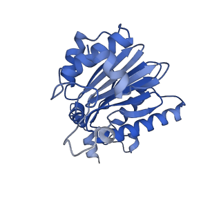 15365_8adn_D_v1-1
Vairimorpha necatrix 20S proteasome from spores