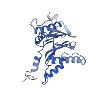 15365_8adn_E_v1-0
Vairimorpha necatrix 20S proteasome from spores