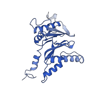 15365_8adn_E_v1-1
Vairimorpha necatrix 20S proteasome from spores