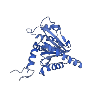 15365_8adn_F_v1-0
Vairimorpha necatrix 20S proteasome from spores