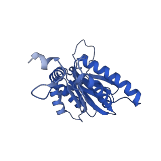 15365_8adn_G_v1-0
Vairimorpha necatrix 20S proteasome from spores