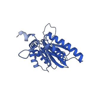 15365_8adn_G_v1-1
Vairimorpha necatrix 20S proteasome from spores