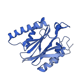 15365_8adn_I_v1-0
Vairimorpha necatrix 20S proteasome from spores