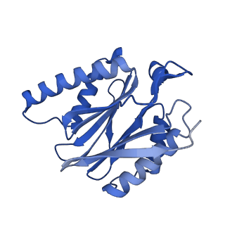 15365_8adn_I_v1-1
Vairimorpha necatrix 20S proteasome from spores