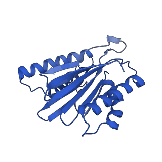 15365_8adn_J_v1-0
Vairimorpha necatrix 20S proteasome from spores