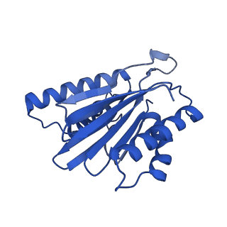 15365_8adn_J_v1-1
Vairimorpha necatrix 20S proteasome from spores