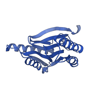 15365_8adn_K_v1-1
Vairimorpha necatrix 20S proteasome from spores