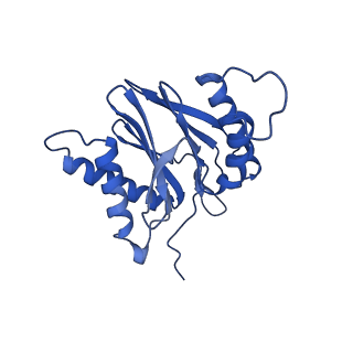 15365_8adn_L_v1-0
Vairimorpha necatrix 20S proteasome from spores