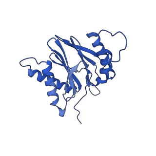 15365_8adn_L_v1-1
Vairimorpha necatrix 20S proteasome from spores