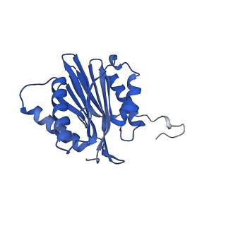 15365_8adn_M_v1-0
Vairimorpha necatrix 20S proteasome from spores