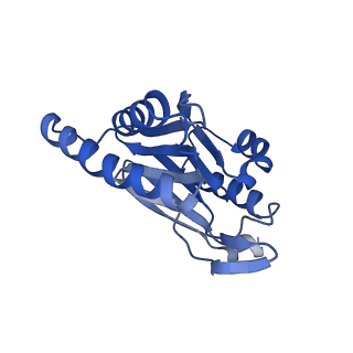 15365_8adn_N_v1-1
Vairimorpha necatrix 20S proteasome from spores