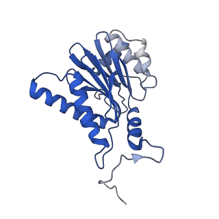 15365_8adn_O_v1-0
Vairimorpha necatrix 20S proteasome from spores