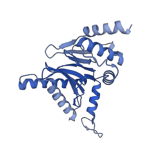 15365_8adn_P_v1-1
Vairimorpha necatrix 20S proteasome from spores