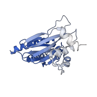 15365_8adn_Q_v1-1
Vairimorpha necatrix 20S proteasome from spores