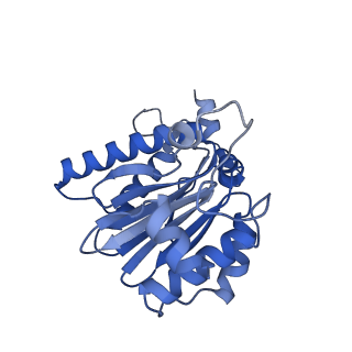 15365_8adn_R_v1-0
Vairimorpha necatrix 20S proteasome from spores