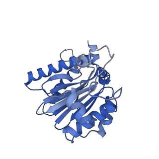 15365_8adn_R_v1-1
Vairimorpha necatrix 20S proteasome from spores