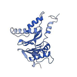 15365_8adn_S_v1-1
Vairimorpha necatrix 20S proteasome from spores