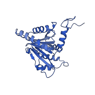 15365_8adn_T_v1-0
Vairimorpha necatrix 20S proteasome from spores