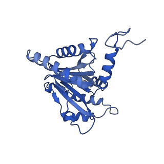 15365_8adn_T_v1-1
Vairimorpha necatrix 20S proteasome from spores