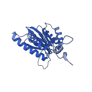 15365_8adn_U_v1-0
Vairimorpha necatrix 20S proteasome from spores