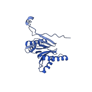 15365_8adn_V_v1-0
Vairimorpha necatrix 20S proteasome from spores
