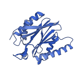 15365_8adn_W_v1-1
Vairimorpha necatrix 20S proteasome from spores