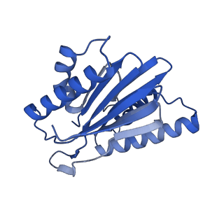 15365_8adn_X_v1-1
Vairimorpha necatrix 20S proteasome from spores