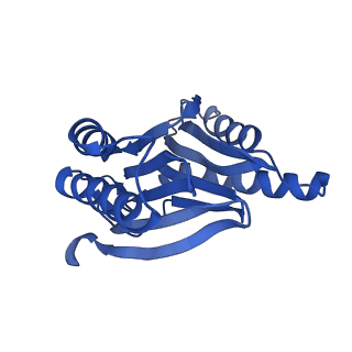 15365_8adn_Y_v1-1
Vairimorpha necatrix 20S proteasome from spores