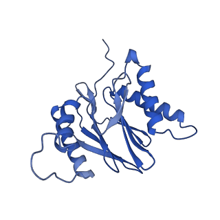 15365_8adn_Z_v1-0
Vairimorpha necatrix 20S proteasome from spores