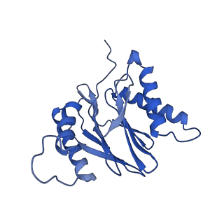 15365_8adn_Z_v1-1
Vairimorpha necatrix 20S proteasome from spores