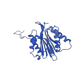 15365_8adn_a_v1-0
Vairimorpha necatrix 20S proteasome from spores