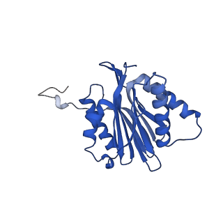 15365_8adn_a_v1-1
Vairimorpha necatrix 20S proteasome from spores