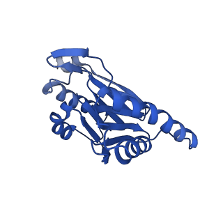 15365_8adn_b_v1-0
Vairimorpha necatrix 20S proteasome from spores