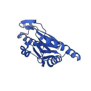 15365_8adn_b_v1-1
Vairimorpha necatrix 20S proteasome from spores