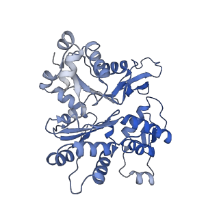 2856_5adx_A_v1-2
CryoEM structure of dynactin complex at 4.0 angstrom resolution