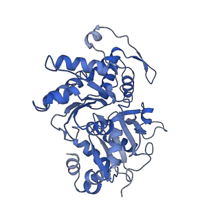 2856_5adx_B_v1-2
CryoEM structure of dynactin complex at 4.0 angstrom resolution