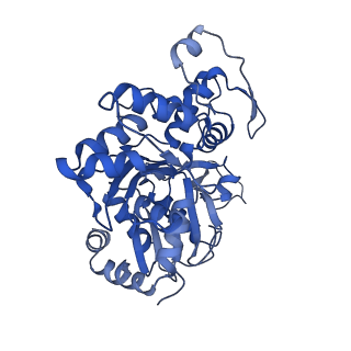 2856_5adx_D_v1-2
CryoEM structure of dynactin complex at 4.0 angstrom resolution