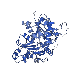 2856_5adx_E_v1-2
CryoEM structure of dynactin complex at 4.0 angstrom resolution