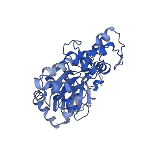 2856_5adx_F_v1-2
CryoEM structure of dynactin complex at 4.0 angstrom resolution