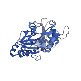 2856_5adx_G_v1-2
CryoEM structure of dynactin complex at 4.0 angstrom resolution