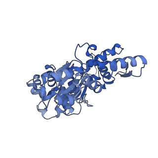 2856_5adx_H_v1-2
CryoEM structure of dynactin complex at 4.0 angstrom resolution