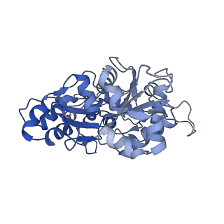 2856_5adx_I_v1-2
CryoEM structure of dynactin complex at 4.0 angstrom resolution