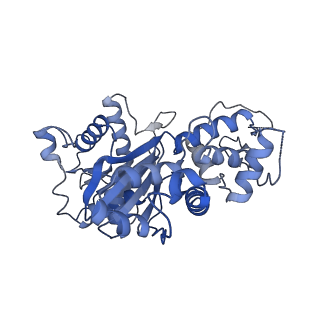 2856_5adx_J_v1-2
CryoEM structure of dynactin complex at 4.0 angstrom resolution