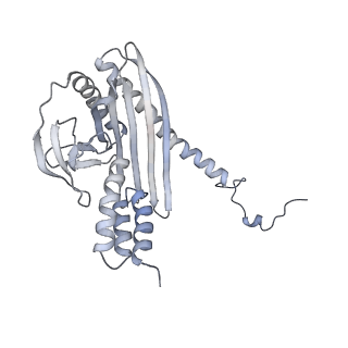 2856_5adx_K_v1-2
CryoEM structure of dynactin complex at 4.0 angstrom resolution