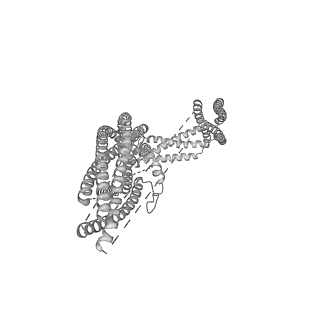 2856_5adx_N_v1-2
CryoEM structure of dynactin complex at 4.0 angstrom resolution