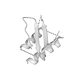 2856_5adx_P_v1-2
CryoEM structure of dynactin complex at 4.0 angstrom resolution