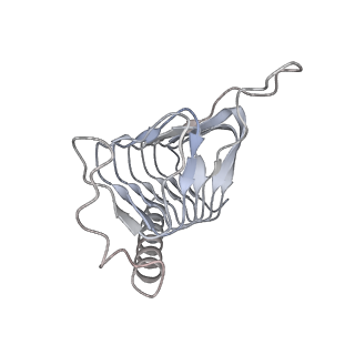 2856_5adx_U_v1-2
CryoEM structure of dynactin complex at 4.0 angstrom resolution