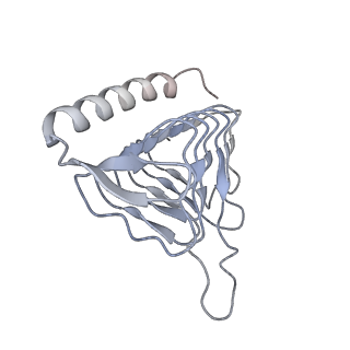2856_5adx_V_v1-2
CryoEM structure of dynactin complex at 4.0 angstrom resolution